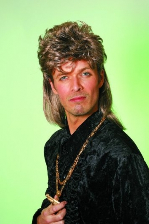 Herrenpercke Proll Mantafahrer Vokuhila Porno Faschingspercke Partypercke